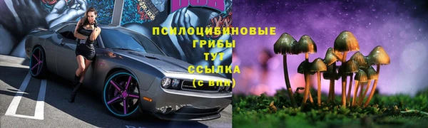шишки Кулебаки