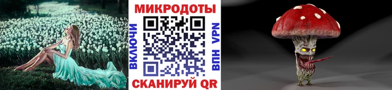 где купить Цоци-Юрт Псилоцибиновые грибы Magic Shrooms